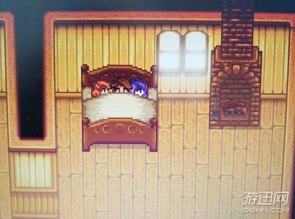 《星露谷物語》娶非單身NPC及NPC進入家方法詳解