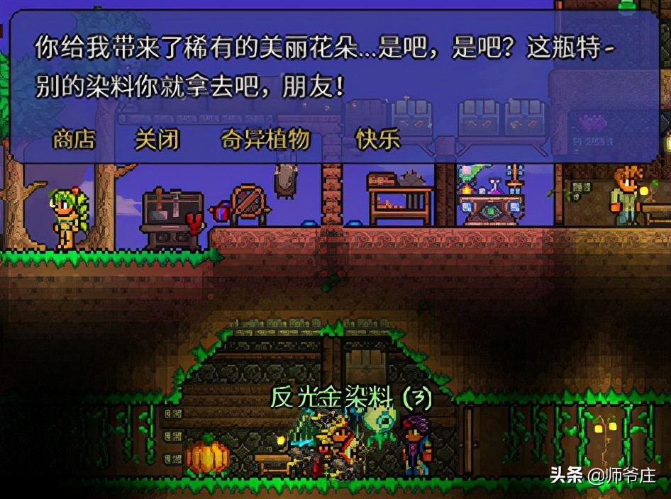 《泰拉瑞亞》入住條件研究與自制頭像展示(1)