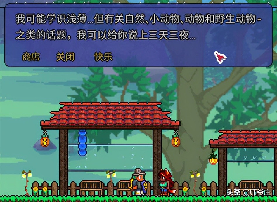 《泰拉瑞亞》入住條件研究與自制頭像展示(1)