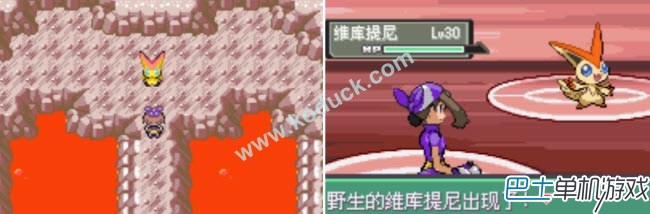口袋妖怪漆黑的魅影5.0無盡混沌全神獸捕捉攻略