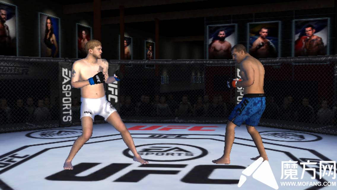 《UFC終極格斗》評測:基情滿滿的頂級賽事