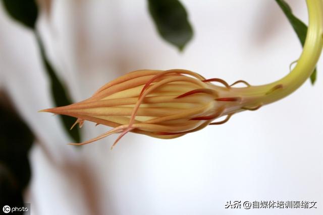 自媒體公司都是怎么賺錢的？難不難？為什么很多人就是學不會？