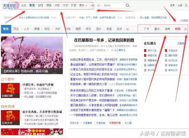 論壇、帖吧手工、工具批量引流