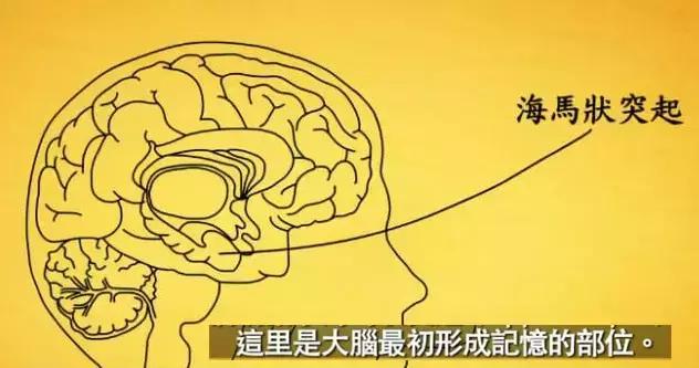 寫好公眾號文章開頭的8個技巧，大V們也在用！