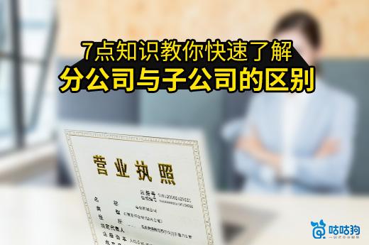 7點知識教你快速了解分公司與子公司的區別