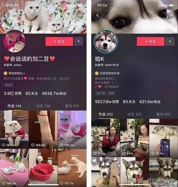 抖音主頁背景圖設計4種方向