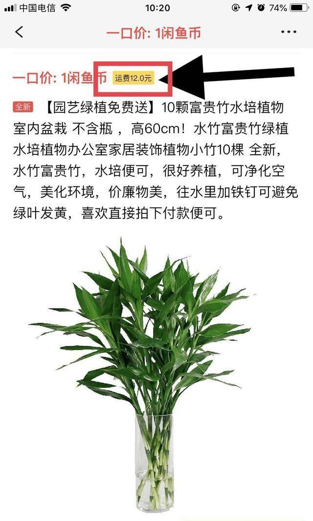 小白怎么利用閑魚'免費送'賺到自己的第一桶金？干貨來啦
