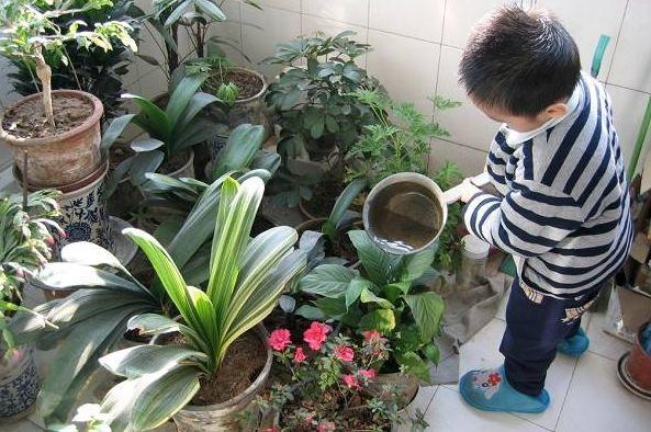 勞動最光榮！幼兒園五一勞動節活動方案、教案（小中大）