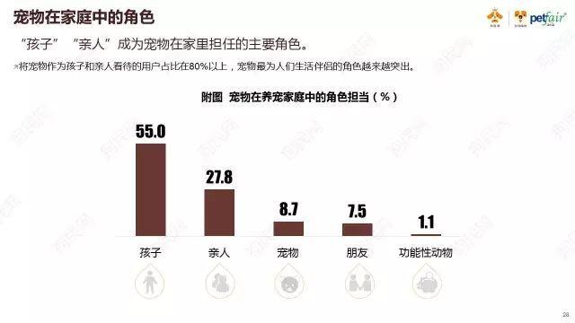 “貓經濟”創業：做人的生意，還是貓的生意？