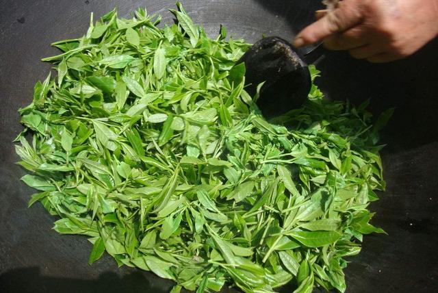 標價2萬元的普通茶葉，一年賣出500萬！揭秘背后的套路