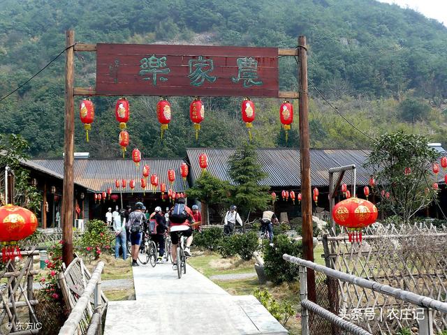 2019年，適合農村致富的6個小項目，不僅成本小，且回報高
