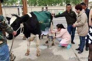 8個農村創業致富項目，做得好賺的真不少