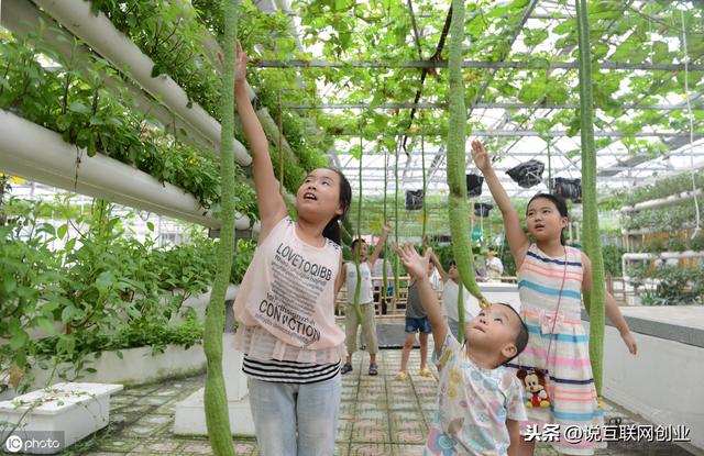 互聯網風口是什么？2020年這4大風口可碰，投資穩、準、狠