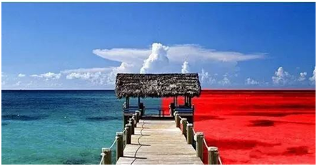 什么是藍海和紅海(一分鐘讓你找到商業機會)