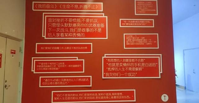羅永浩和他的「錘粉」信徒