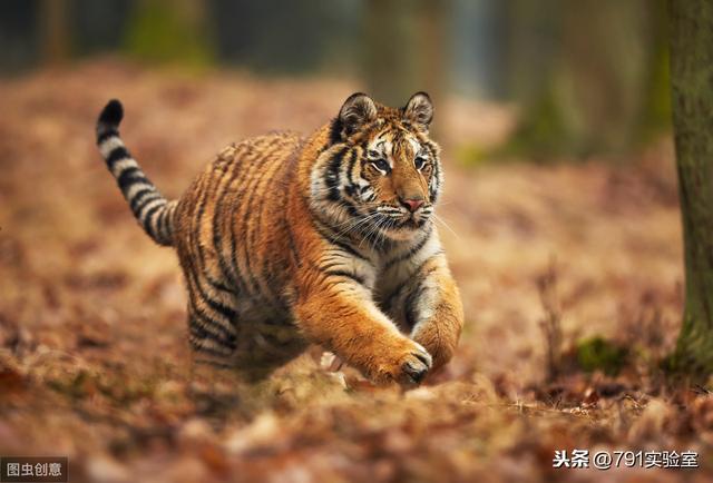 九個經典營銷案例故事，干貨滿滿，值得收藏