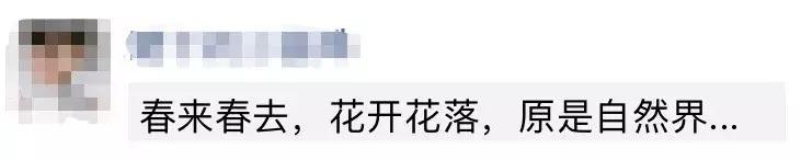 為什么你發的朋友圈不能完全顯示，有人卻能全部顯示