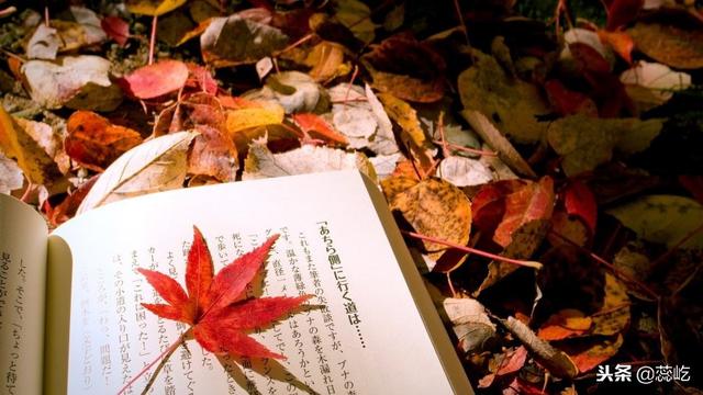16個餐飲酒店營銷方案免費送您