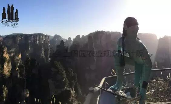 旅游景區需順應趨勢，開展正確的網絡營銷