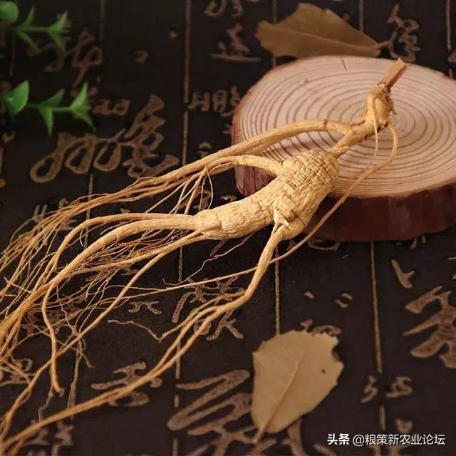 盤點4個適合農村創業的好項目，2020年回村干這些