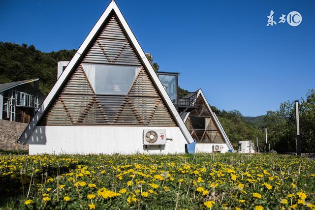 這幾家民宿旅游APP，你都用過哪幾家，覺得哪個最靠譜
