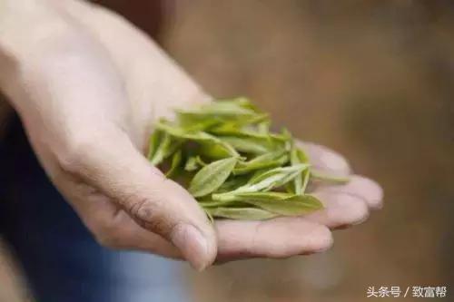 只要營銷做得好，賣茶葉其實很簡單