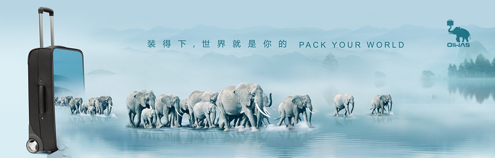 品牌營銷策劃案例分析——愛華仕
