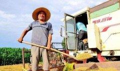 2018新農村創業如何白手起家？低成本創業推薦