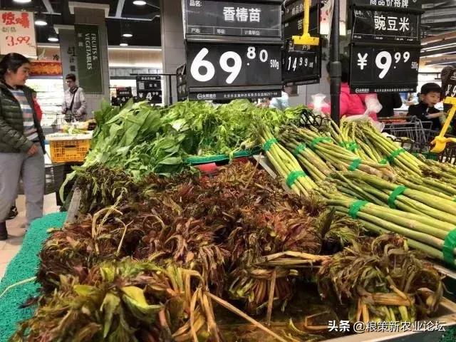 盤點4個適合農村創業的好項目，2020年回村干這些