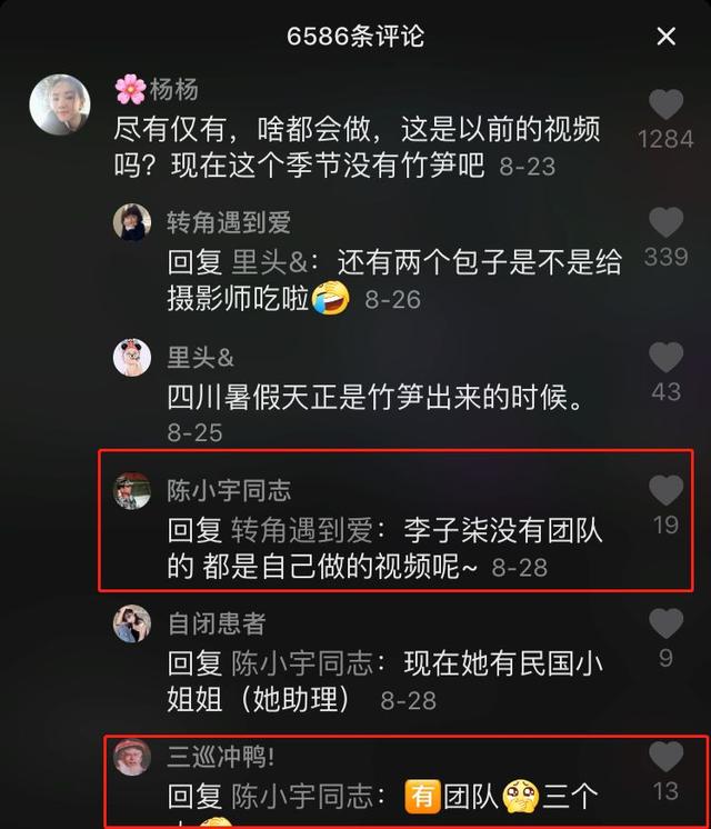 “李子柒”背后到底有沒有團隊？告訴你真相又何妨？