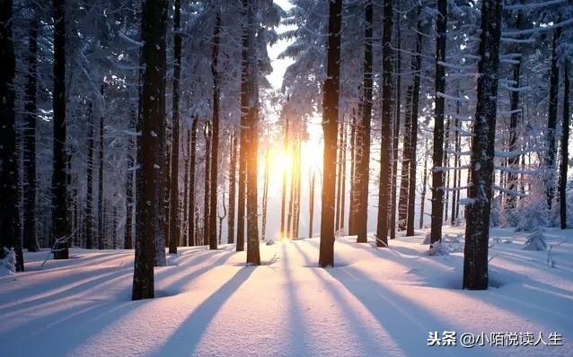 老實人過得“沒有出息”，是因為過分看重了這四種“品質”