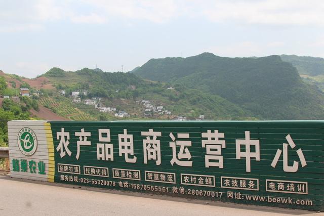 農村電商現狀：5倍的物流成本，4萬多個企業，95%一直在虧損
