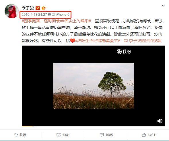 “李子柒”背后到底有沒有團隊？告訴你真相又何妨？