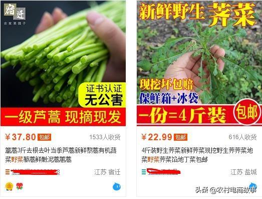 農村電商賣什么？網上賣野菜月入萬元