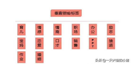 抖音標簽有什么作用？一文搞懂