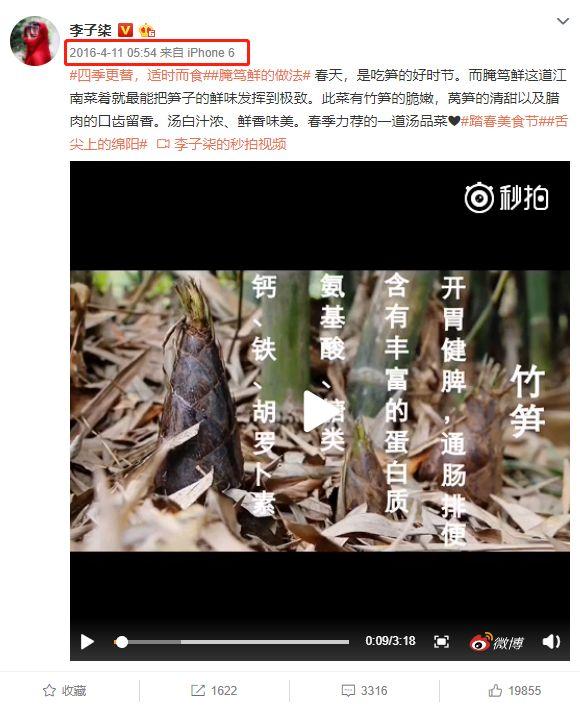“李子柒”背后到底有沒有團隊？告訴你真相又何妨？