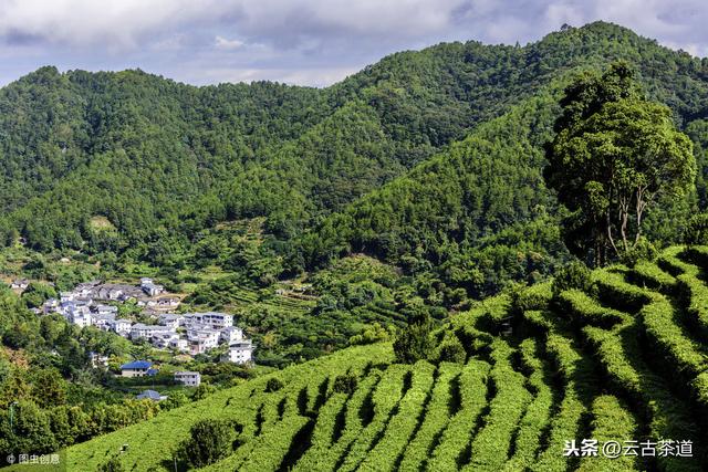 茶界五大營銷模式，你都知道嗎？