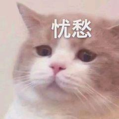 原來誤刪的微信好友、群聊可以這樣偷偷加回來！真神奇！學會不虧