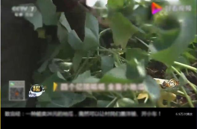 《財富經》創業成功者的秘密，獻給準備創業的你！
