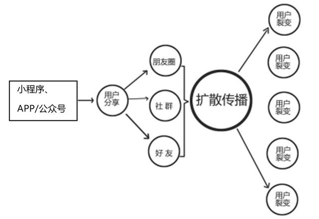 社交電商為何如此火爆？讀懂這四大優勢：搶占未來先機
