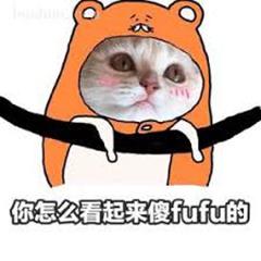 找不到iPhone自帶的錄音轉文字功能？你應該這樣做，果粉：不早說