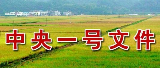 2019年，農民回鄉創業，可在這些方面下功夫，成功機率很大