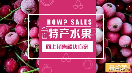 李欣榮:新疆水果特產網絡銷售渠道市場營銷方案