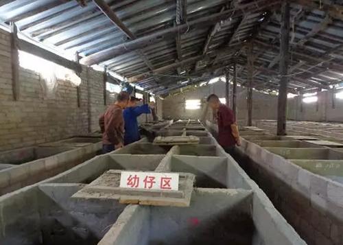當下農村這4個創業項目投資小，是賺錢的好模式