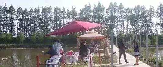 2019年小本創業項目大全，最新冷門創業好項目推薦