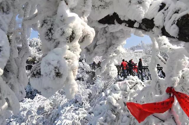 旅游公司如何進行線上網絡推廣