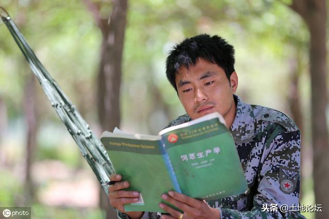 年輕人回農村創業真的好嗎？這3個項目“錢”景不錯