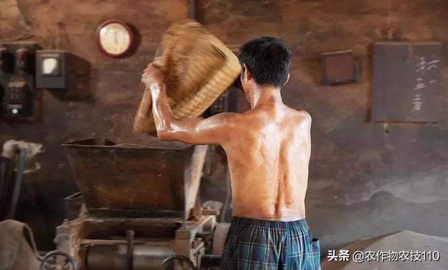 農村這9個創業項目，本錢少，有“錢途”，你鐘意哪一個？