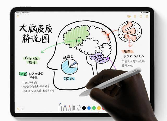3月就來？iPad Pro 2020即將發布，最低5500元