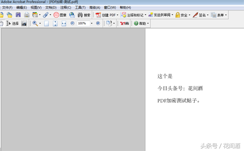 PDF快速給文檔加密碼，禁止復制和修改！